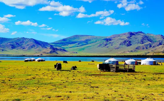 5 Tips for Travelling in Mongolia