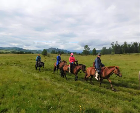 When is the Best Time for a Horse-Riding Trip in Mongolia ?