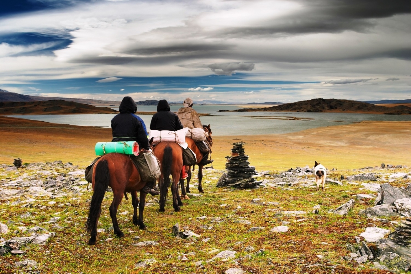 how to travel to mongolia from india
