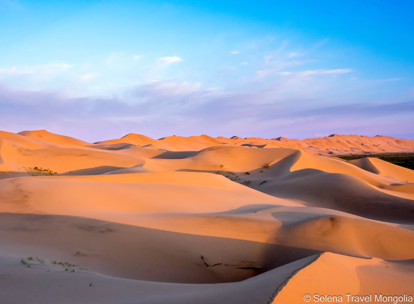 Discover the Gobi Desert