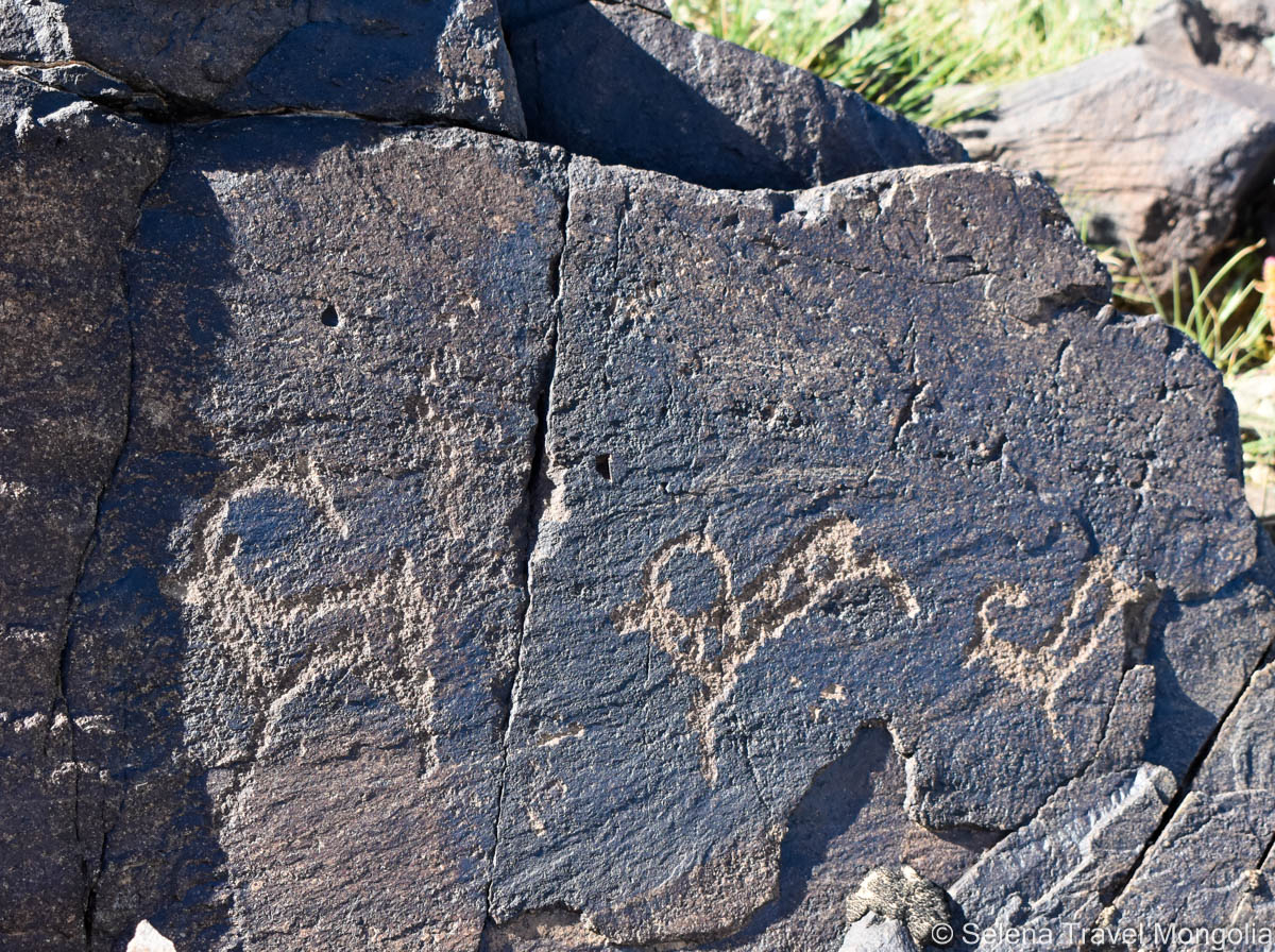 Khavtsgait Petroglyphs - Bronze Age rock carvings in Gobi desert Mongolia