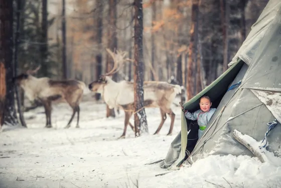 An Introduction To The Tsaatan Reindeer Herders Of Mongolia