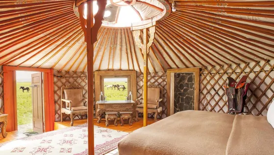 Luxury Travel Experiences in Mongolia