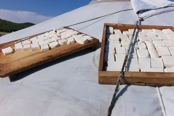 A Beginner’s Guide To Food In Mongolia