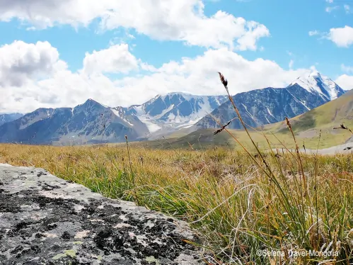 Top 5 Things to Do in the Altai Mountains