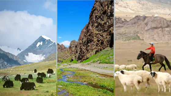 Mongolian National Parks Animal Lovers Need to Visit
