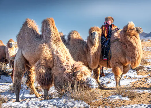 The Most Asked Questions About Mongolia — Answered!