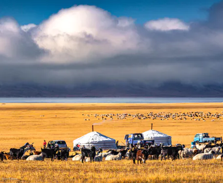 Know Before You Go- Mongolia Travel Guide 2026