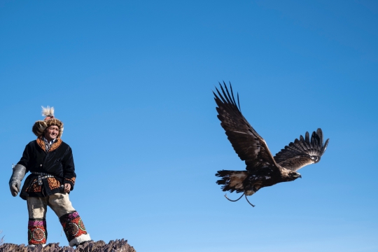 Golden Eagle Festival tour | Golden Eagle and Kazakh Eagle hunter