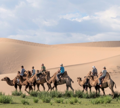 Gobi desert tour 2023 / 2024 | to travel to Mongolia camels at Khongor sand dunes
