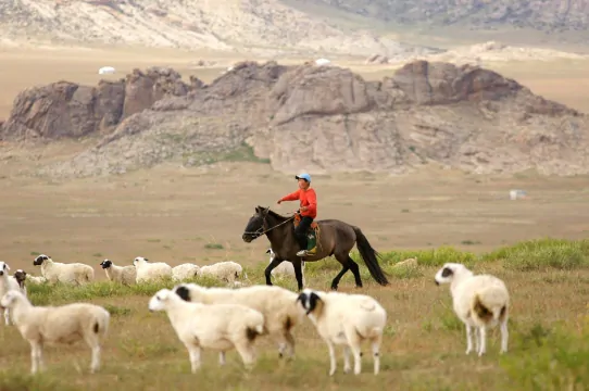 Experience Mongolia's Nomadic Lifestyles