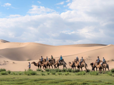 Gobi desert tour 2023 / 2024 | to travel to Mongolia camels at Khongor sand dunes | Mongolia tour | camel riding