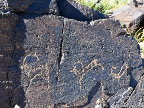 Khavtsgait Petroglyphs in Gobi Desert Mongolia | Gobi desert 5-day tour