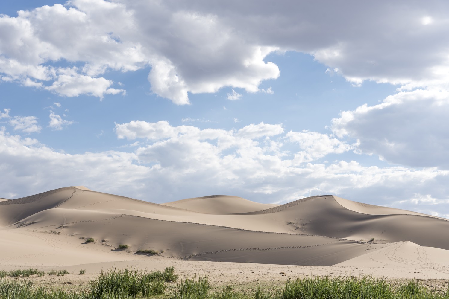 Vast and golden Khongor Sand Dunes in Mongolia, stretching across the horizon under a clear blue sky.