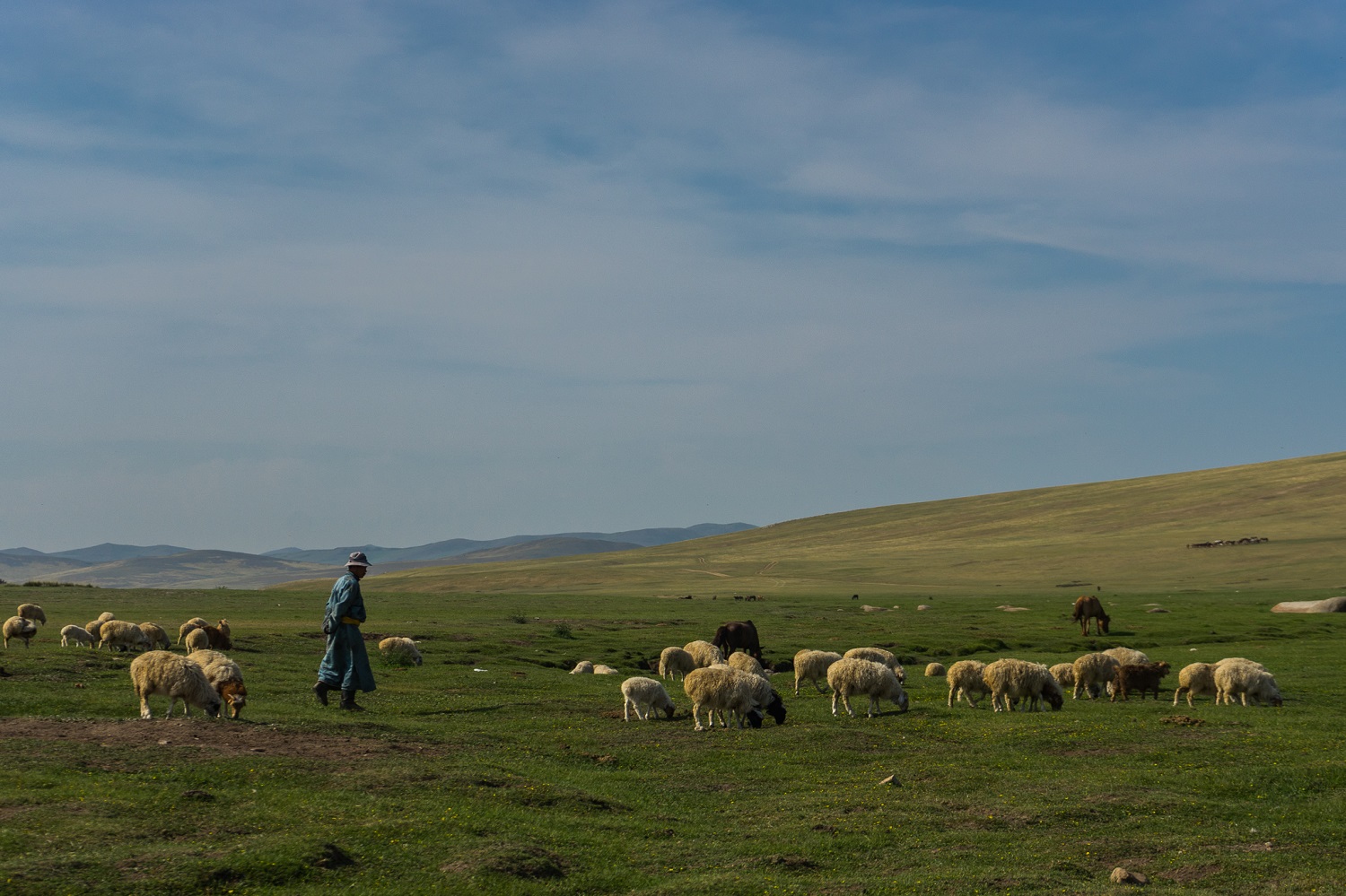 Nomads in Mongolia