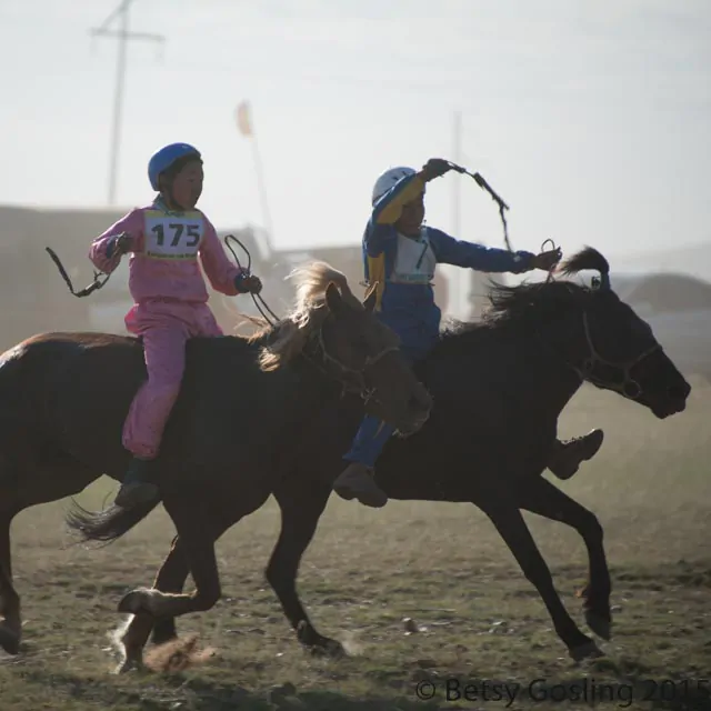 Naadam Festival horse racing