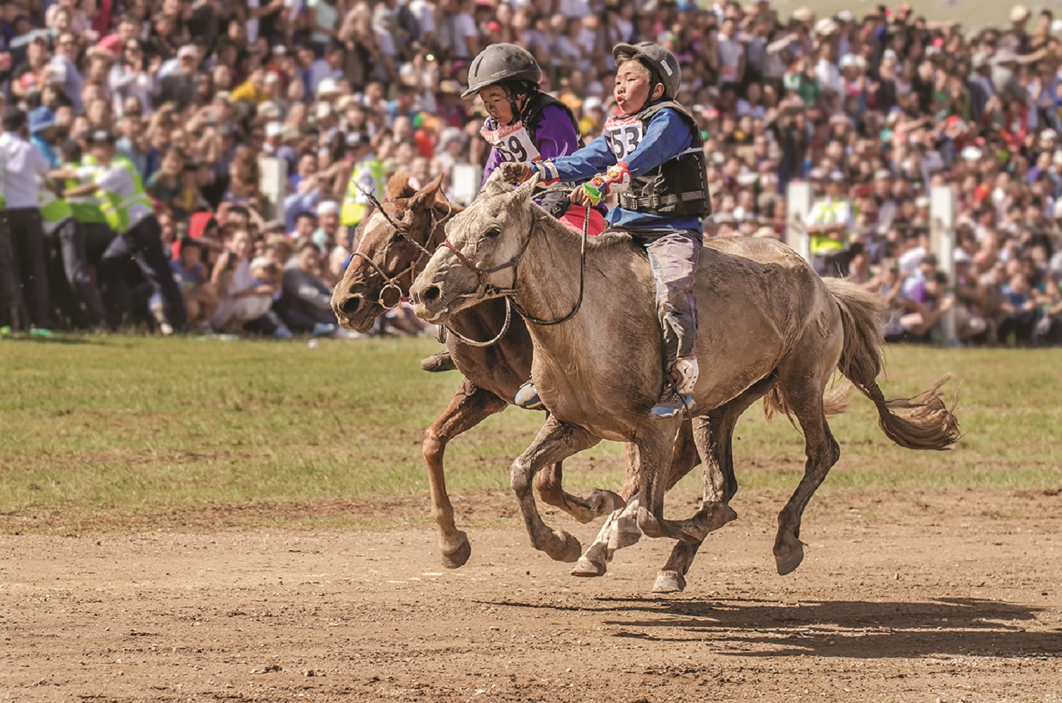 Horse racing during the Naadam Festival Mongolia