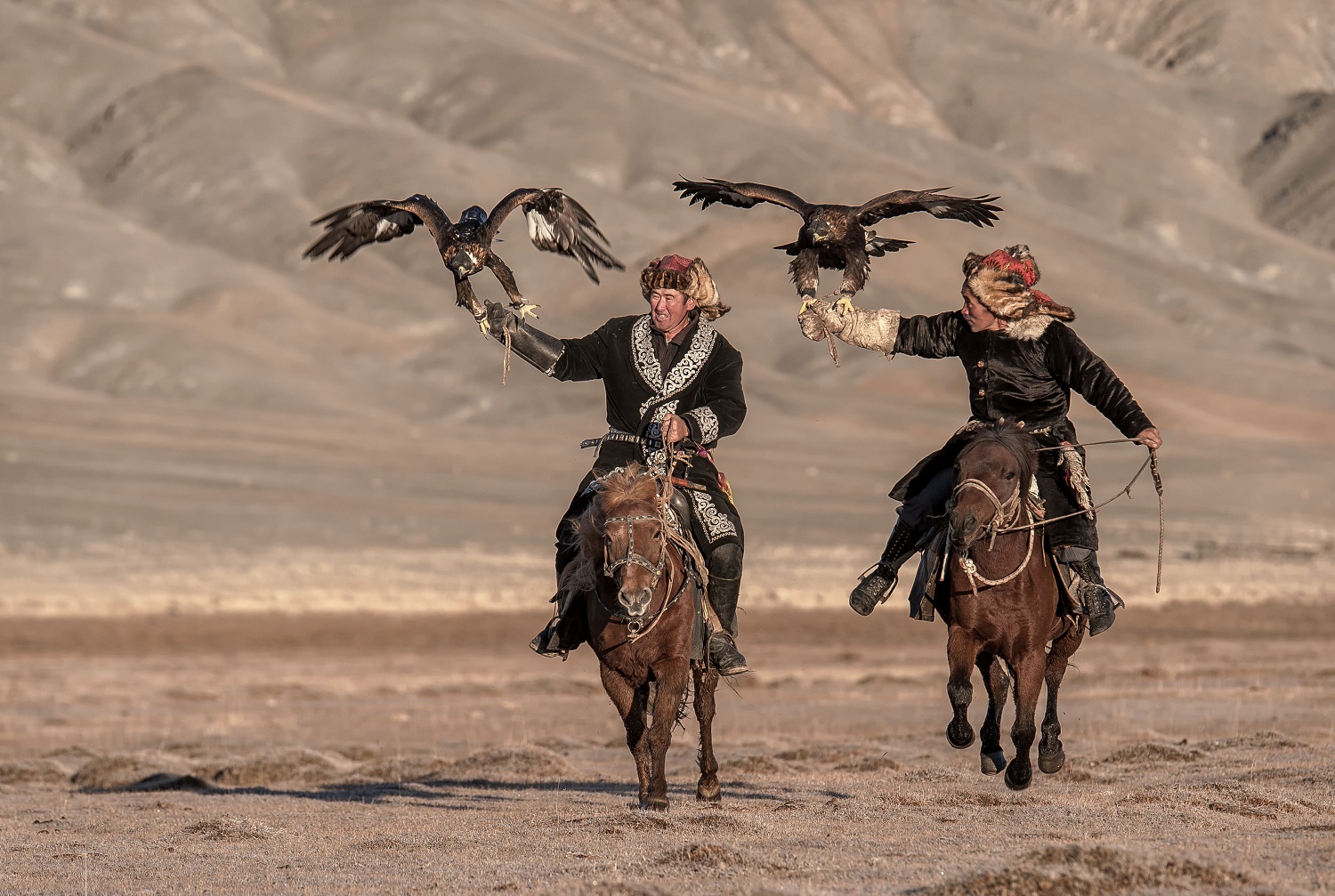 hunting trips mongolia