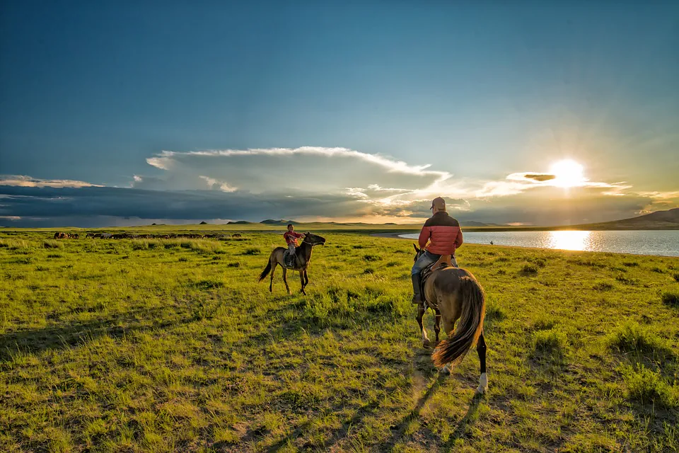 5 days living as a nomad, herding livestock