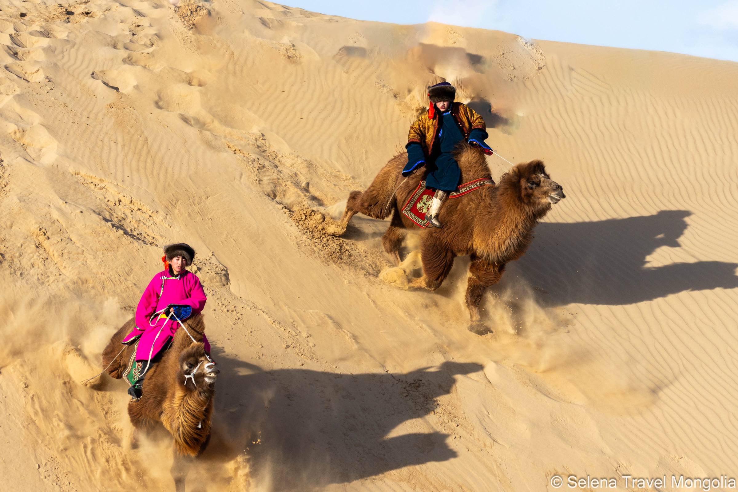 Camel riding in Mongolia